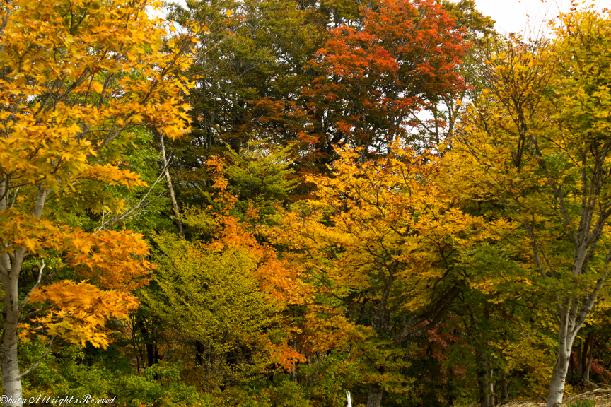 剣桂展望台から