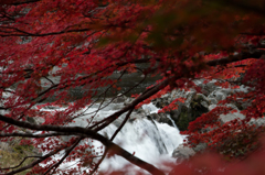 夏井川渓谷Ⅲ