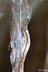煌氷