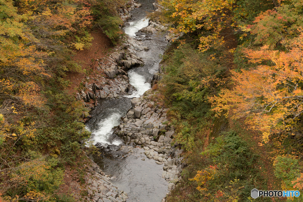 中津川渓谷の紅葉　橋の上より