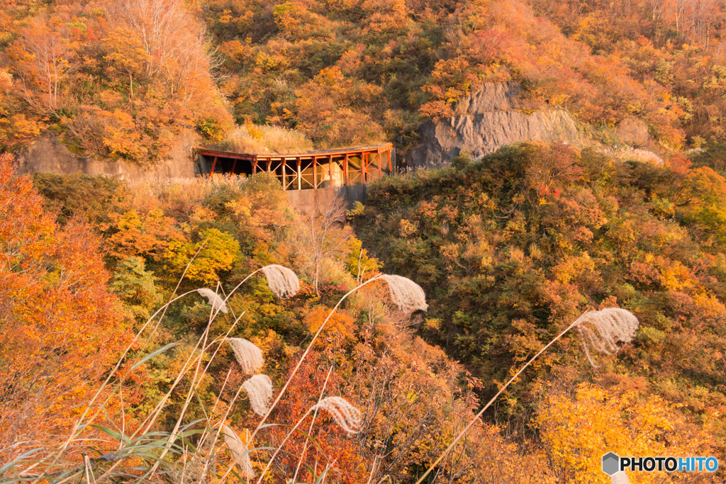 燃える山