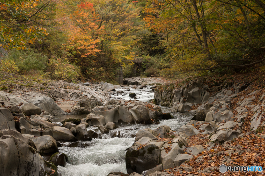 中津川渓谷の紅葉Ⅱ
