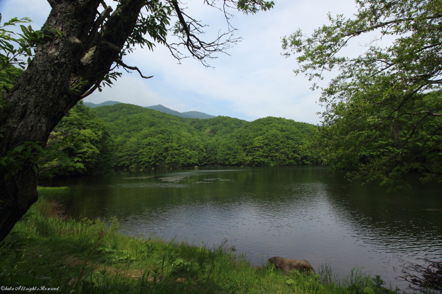 曲沢沼