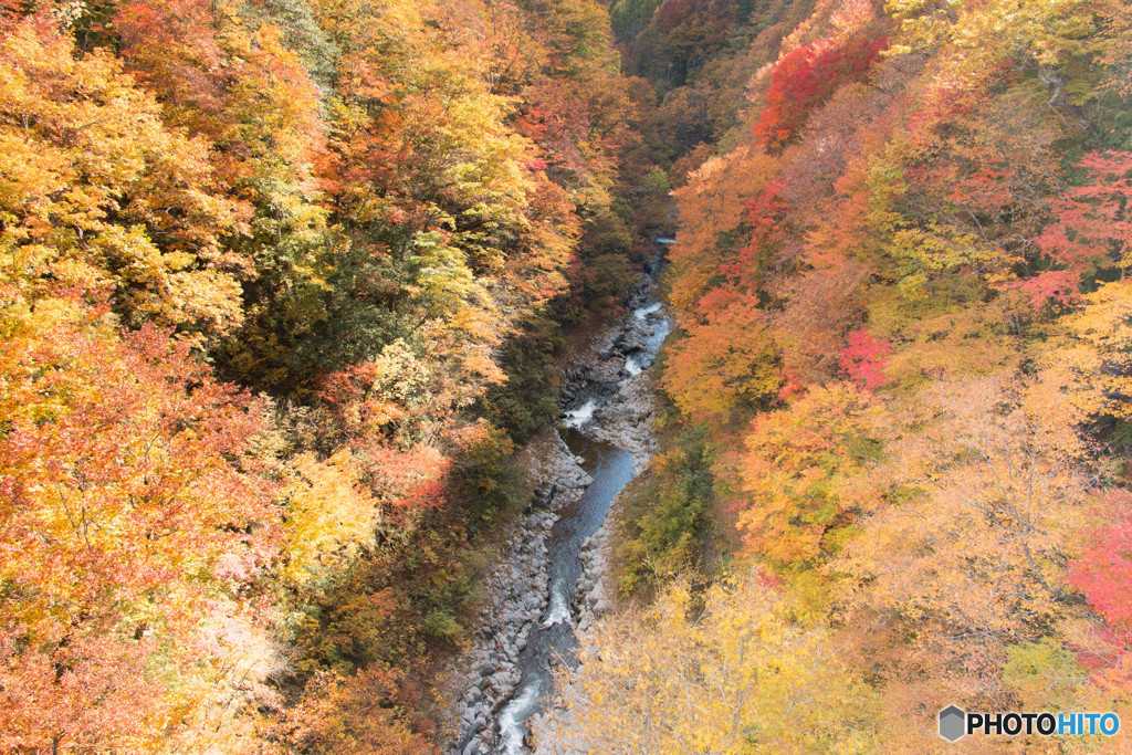 中津川渓谷Ⅱ