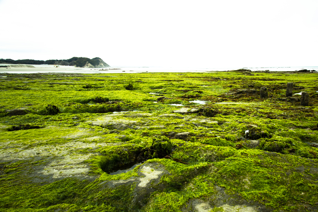 green  beach 