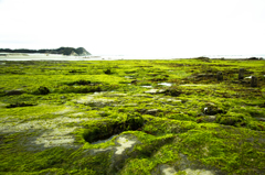 green  beach 