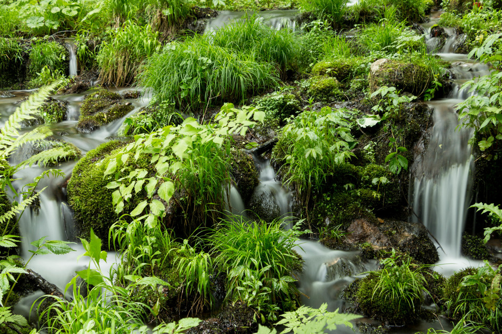 ちっこい滝いっぱい