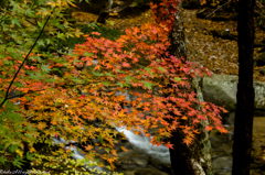 鹿又川渓谷