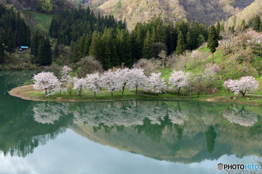 霧幻峡の春