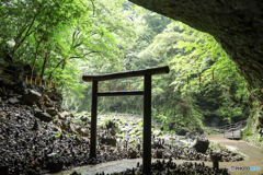 神影の庭