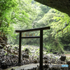 神影の庭