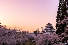色づき始め