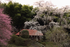 雪村庵にて