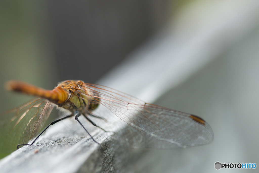フリーズしてます