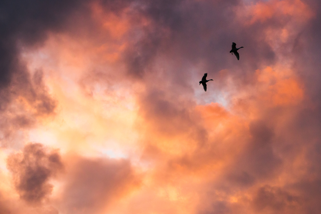 夕焼け雲