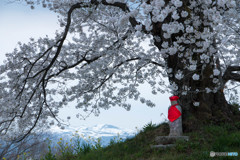 人待ち地蔵桜　Ⅰ