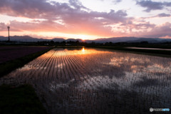 沈む陽