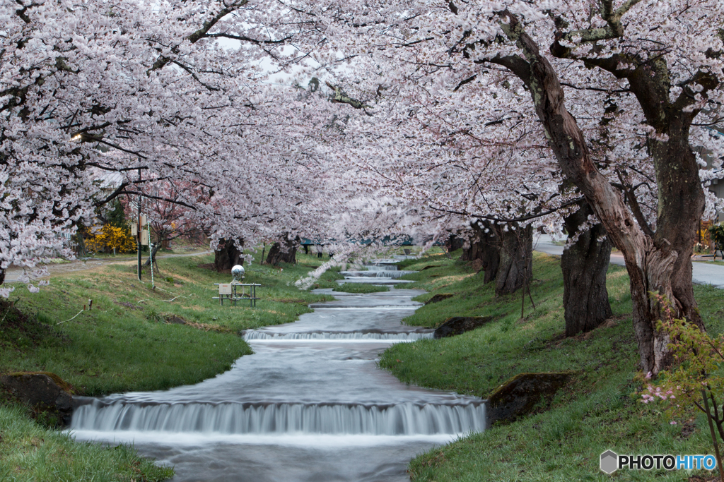 春の小川