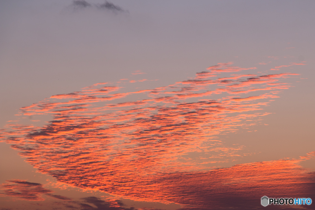 夕陽に染まる凸凹雲