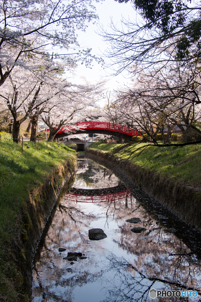 二つの太鼓橋