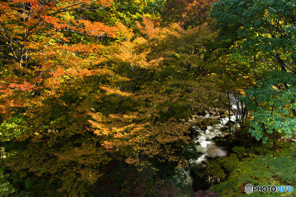 中ノ沢の紅葉