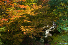 中ノ沢の紅葉