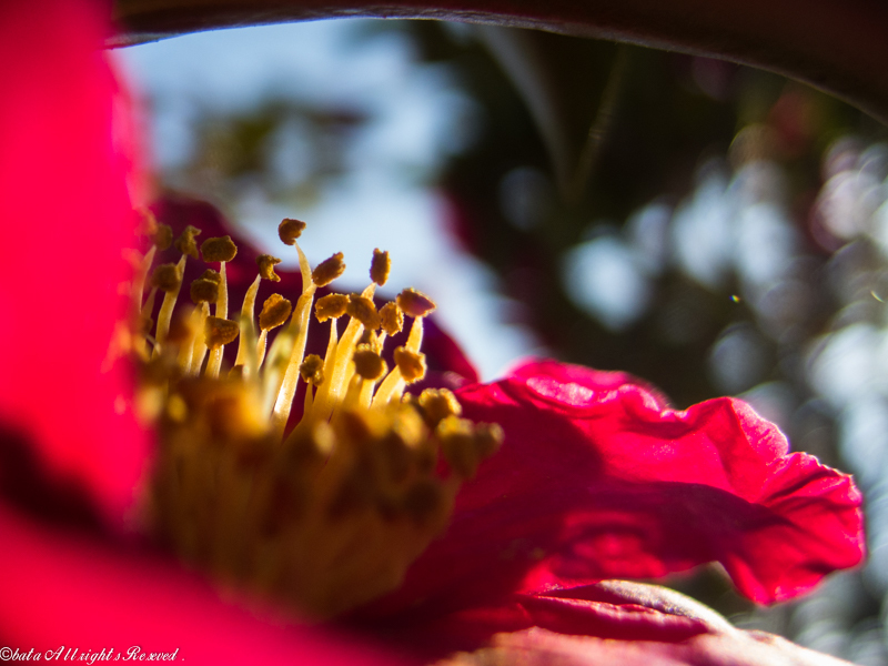 明けましておめでとうございます!