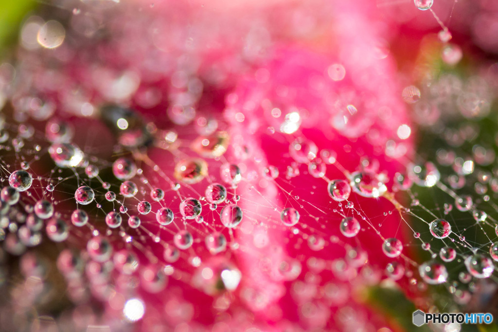 waterdrop