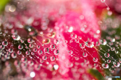 waterdrop