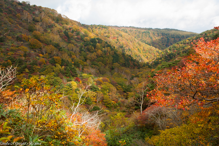 安達太良山の紅葉