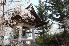 伊達市保原薬師堂