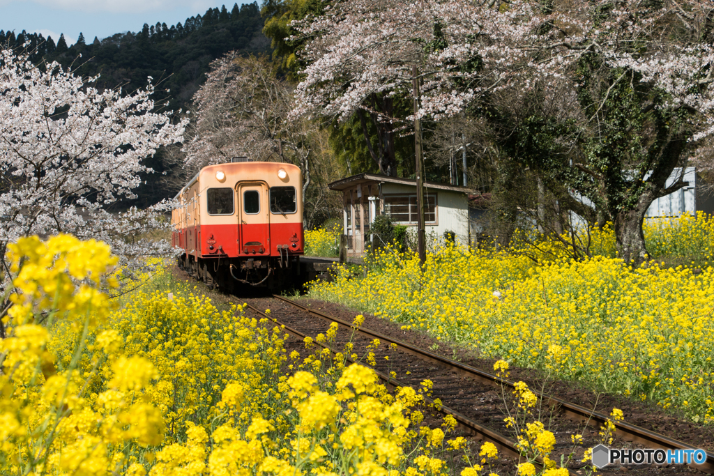 里山列車