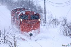 猛吹雪の中のラッセル車