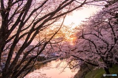 輝く堀