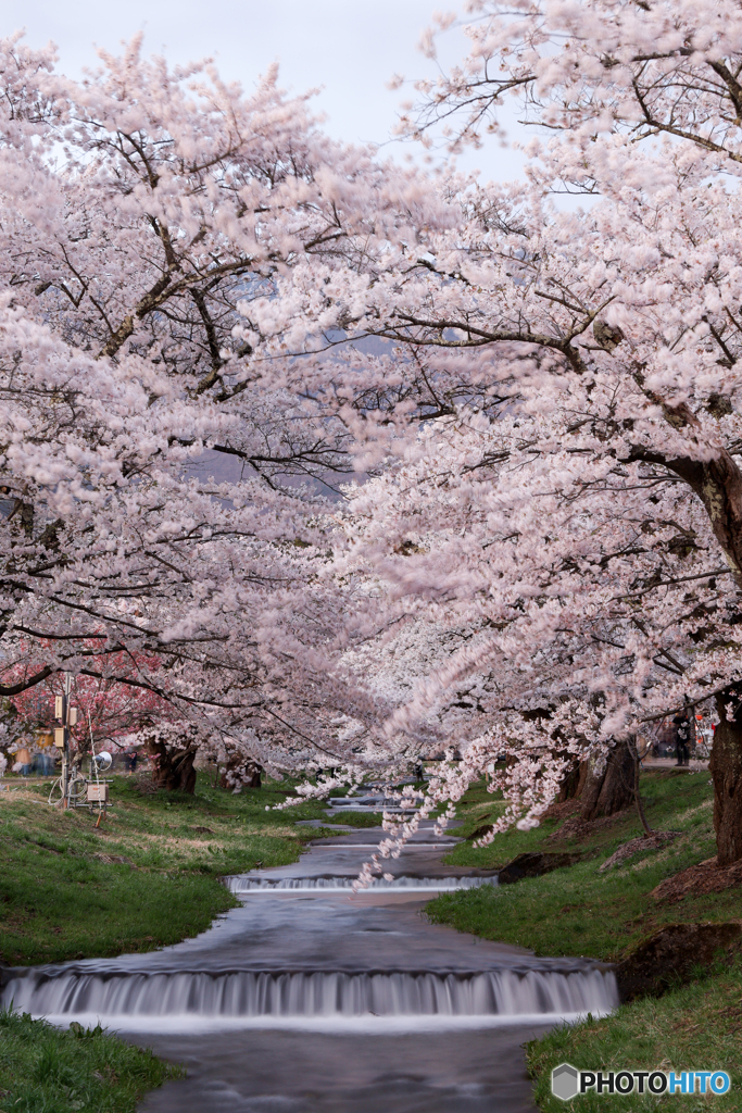 春の小川