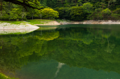 半田沼