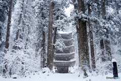 暴風雪