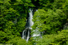 霧降の滝