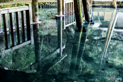 池の中の鳥居