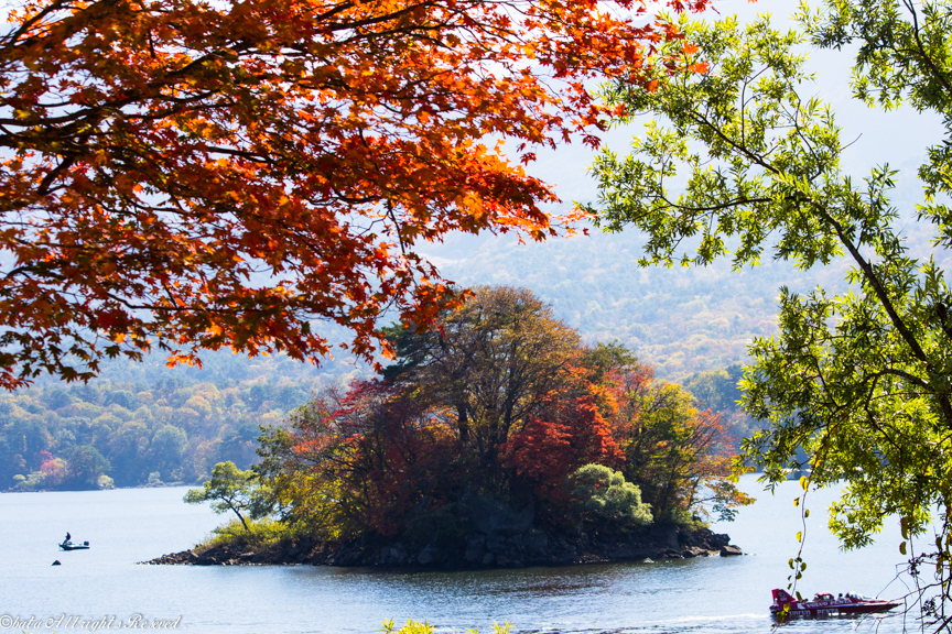 桧原湖に浮かぶ桜島の紅葉