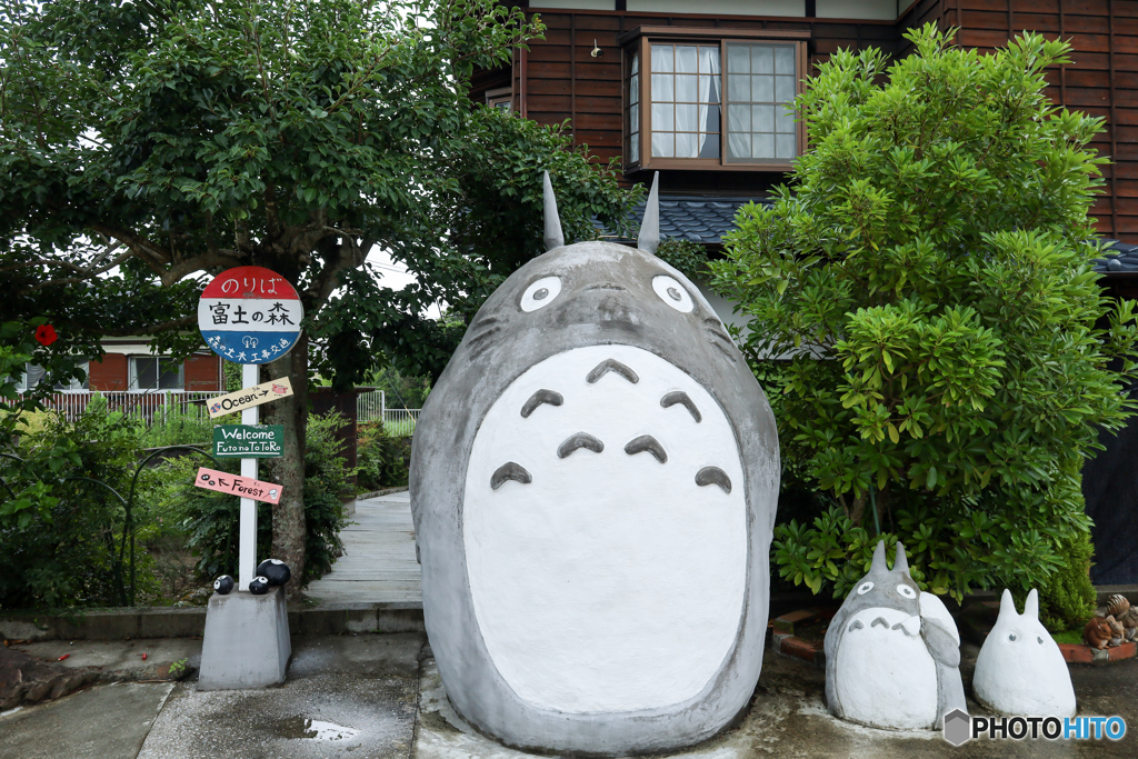 森の守り神、トトロの家へ