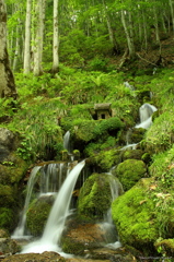 冷湖(ひゃっこ)の霊泉