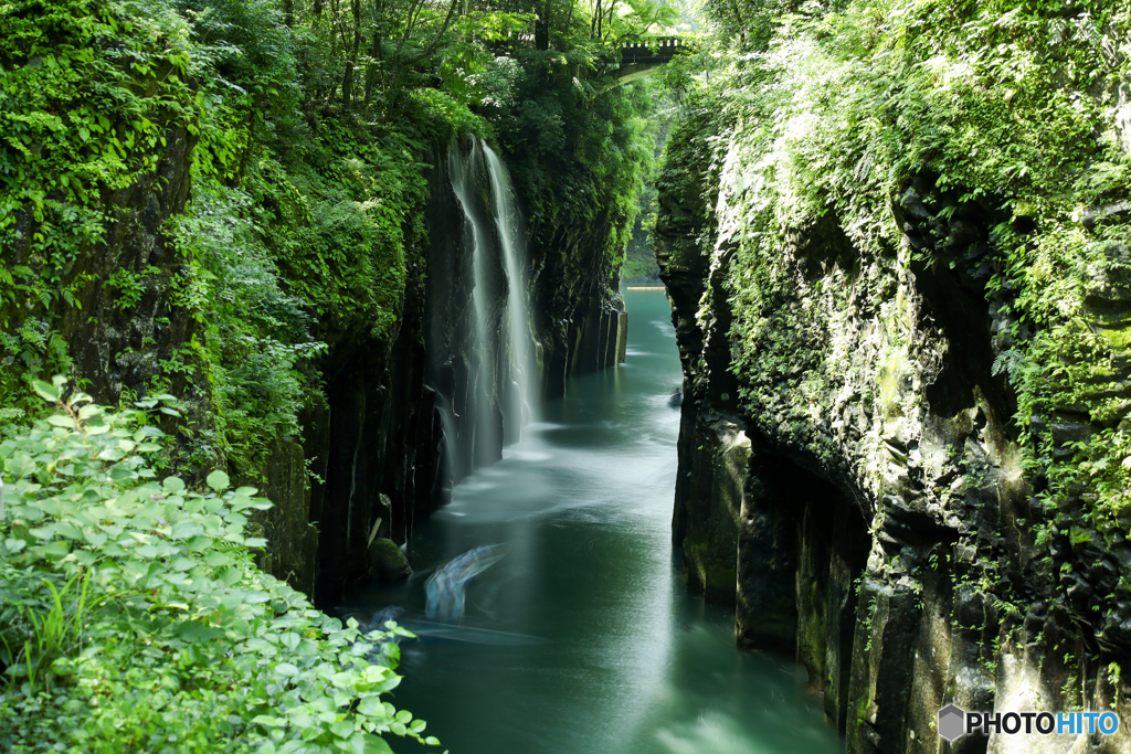 深翠に眠る水明