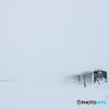 雪原を疾走