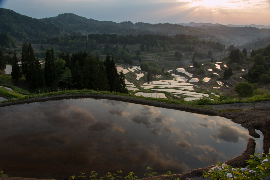 星峠の棚田Ⅲ