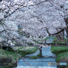一本橋