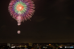 夜空に咲く