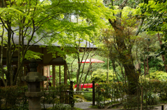 静寂