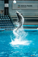 jumping