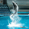 jumping
